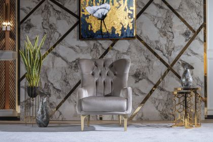 Modern Style Chair in Taupe