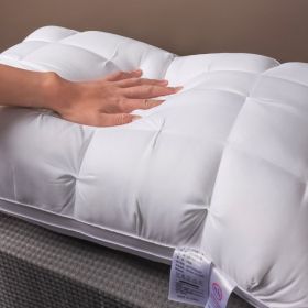 Whtie And Brown Premium Soft Luxury Bed Pillows - Queen-Sized Hypoallergenic Polyester Cover - Ergonomic Design For Back, Stomach Or Side Sleeper (Option: White)